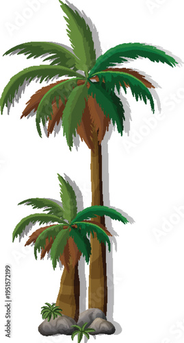 Dracaena marginata plant set for tropical landscape and botanical projects vector