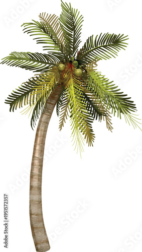 Exotic plant with multiple stems for tropical landscape and environment vector