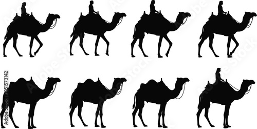 Camel rider and camel silhouette collection desert travel transportation animal set with walking camels and riders isolated vector illustration pack