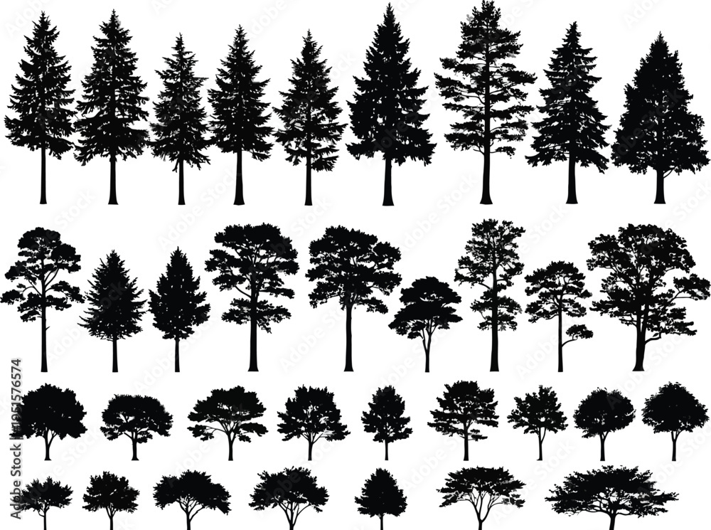 Fototapeta premium a collection of various silhouette trees including evergreens deciduous trees and smaller shrubs shown in a repeating pattern high quality professional