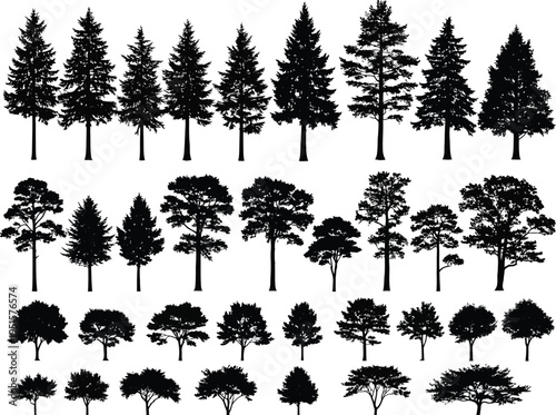 a collection of various silhouette trees including evergreens deciduous trees and smaller shrubs shown in a repeating pattern high quality professional