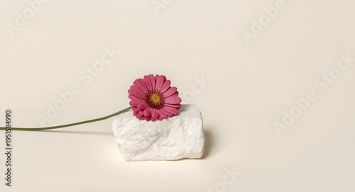 Graceful minimal product setup with white stone block and pink flower placed on a light beige background