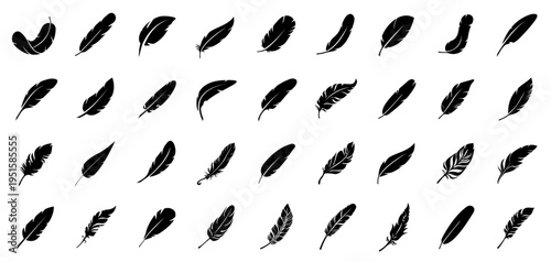 Bird Feather vector collection. Feather icons for logo or decoration. Symbol of comfort, softness and lightweight.