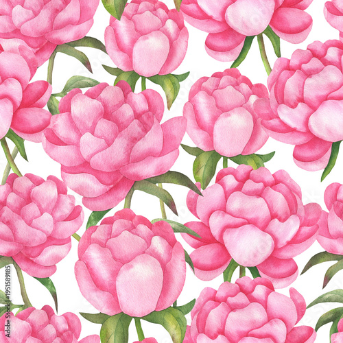 Seamless pattern of pink peonies