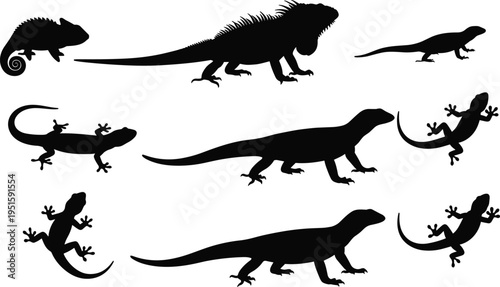 Lizard silhouettes collection, gecko iguana reptile poses set, wildlife vector illustration, black lizard shapes isolated nature design