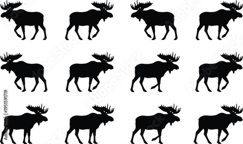Moose silhouettes collection, elk deer walking poses set, wildlife forest animal vector illustration, black moose shapes isolated design