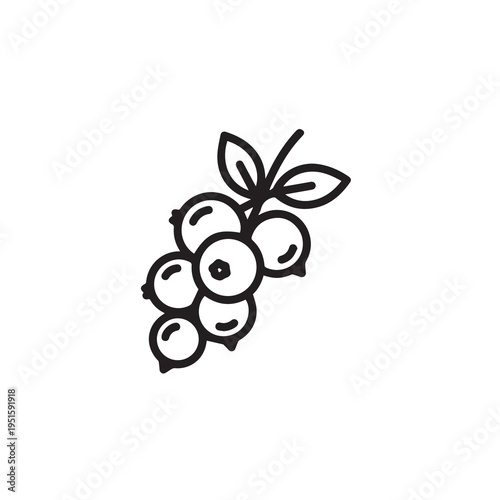 Lingonberry Branch Line Art Icon Fresh Nordic Forest Fruit Symbol for Healthy Eating and Organic Produce
