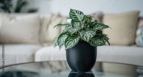 Flower pot holding silver b...