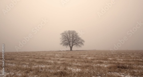 Peaceful snowy grassland featuring a single tree beneath muted mist sky