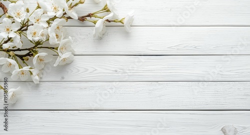 Light white wooden surface ...