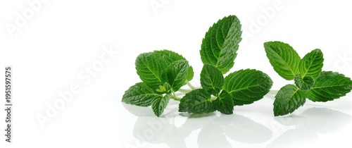 Isolated white background p...