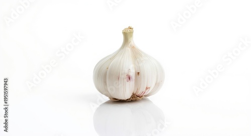 Single garlic bulb isolated...