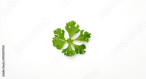 Overhead view of fresh cori...