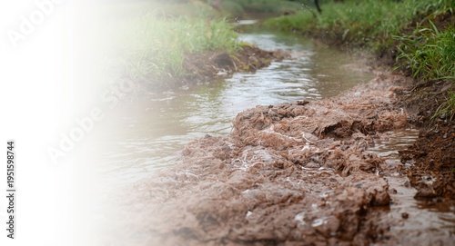 A lively stream of rainwate...