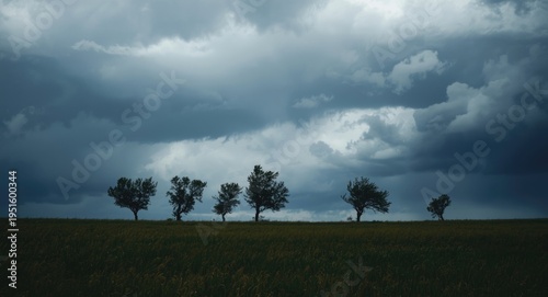 Isolated tree silhouettes i...