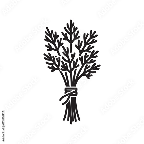 Bunch of Fresh Dill Herb Tied with Twine Simple Line Art Icon on White Background