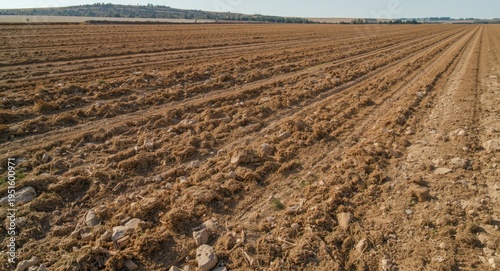 an agricultural panorama de...