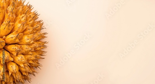 Close up photograph of buah...