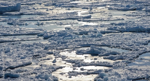 Glistening Arctic ice expan...
