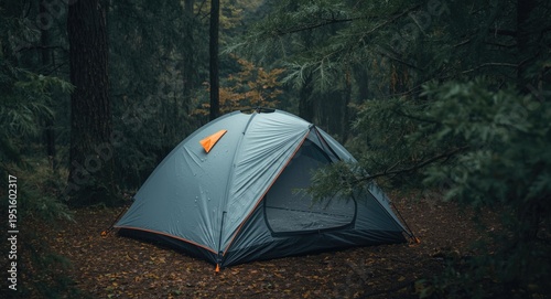 Rain soaked tent resting un...