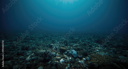 Marine conservation focusin...