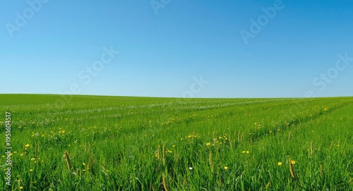 Expansive green grass meado...