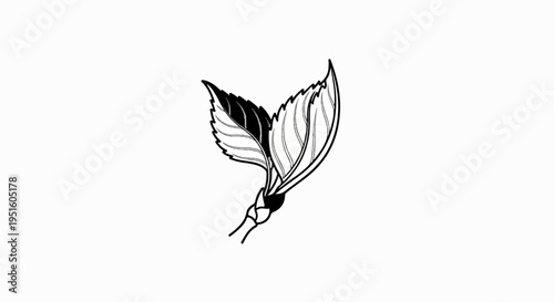 Black and white outline drawing of two intertwined hibiscus leaves