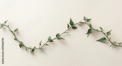 Elegant thin green vines on...