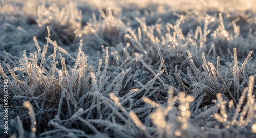 Shiny frost crystals coatin...