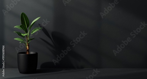 graphic of a single black p...