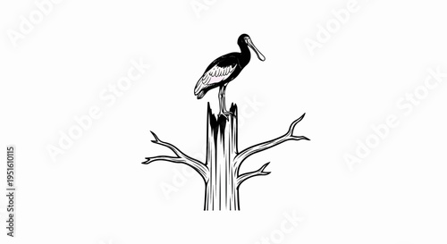Bird on a dead tree stump, simple line drawing with light color accents