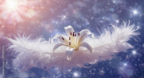 Radiant lily placed on a gr...