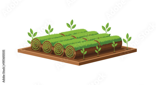 Rolls of green sod are neatly arranged on a brown soil patch with small sprouts on a white background.