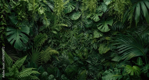 Layered tropical foliage background tailored for invitation templates with trailing epiphytes