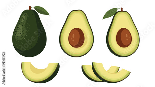 Fresh and vibrant illustration of a whole avocado, along with sliced halves and wedges, representing healthy eating and superfood.