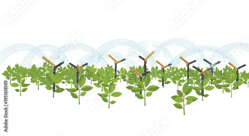 Numerous green leafy plants are being irrigated by multiple small sprinklers emitting blue water arcs on a white background.