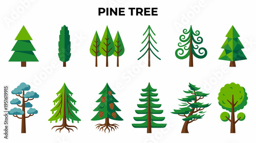 Collection of Pine Tree Illustrations