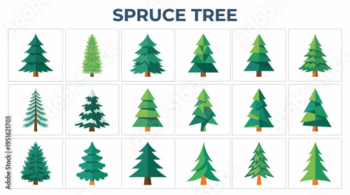 Spruce Tree Collection: Various Green Conifer Illustrations