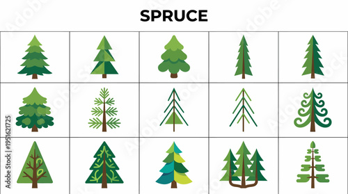 Spruce Tree Icons Set, Green Coniferous Forest Collection