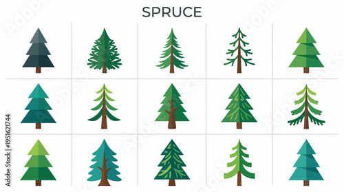 Spruce Trees Collection: Flat Vector Icons