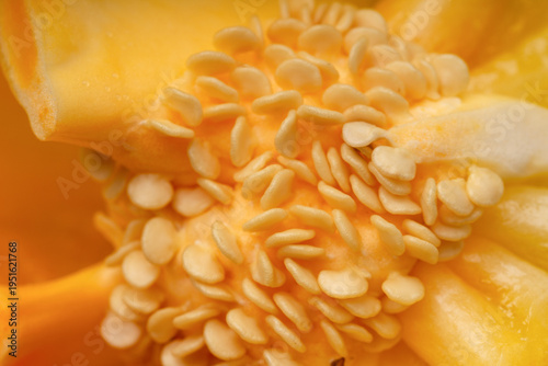 Internal structure of a yellow sweet pepper with many seeds, healthy food concept. Macro shot of yellow bell pepper seeds inside the vegetable, close-up view.