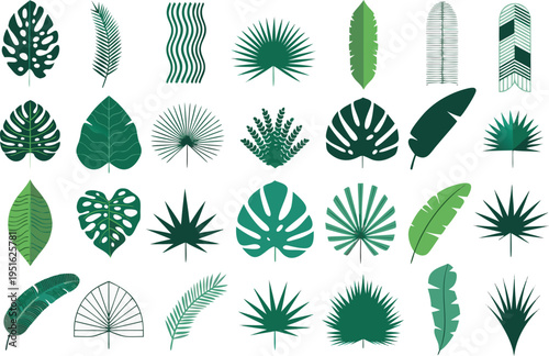 Collection of various tropical palm and monstera leaves in flat green vector graphic illustration isolated on transparent background