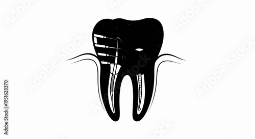 Detailed cross-section of a human tooth revealing intricate root canal system and enamel layers