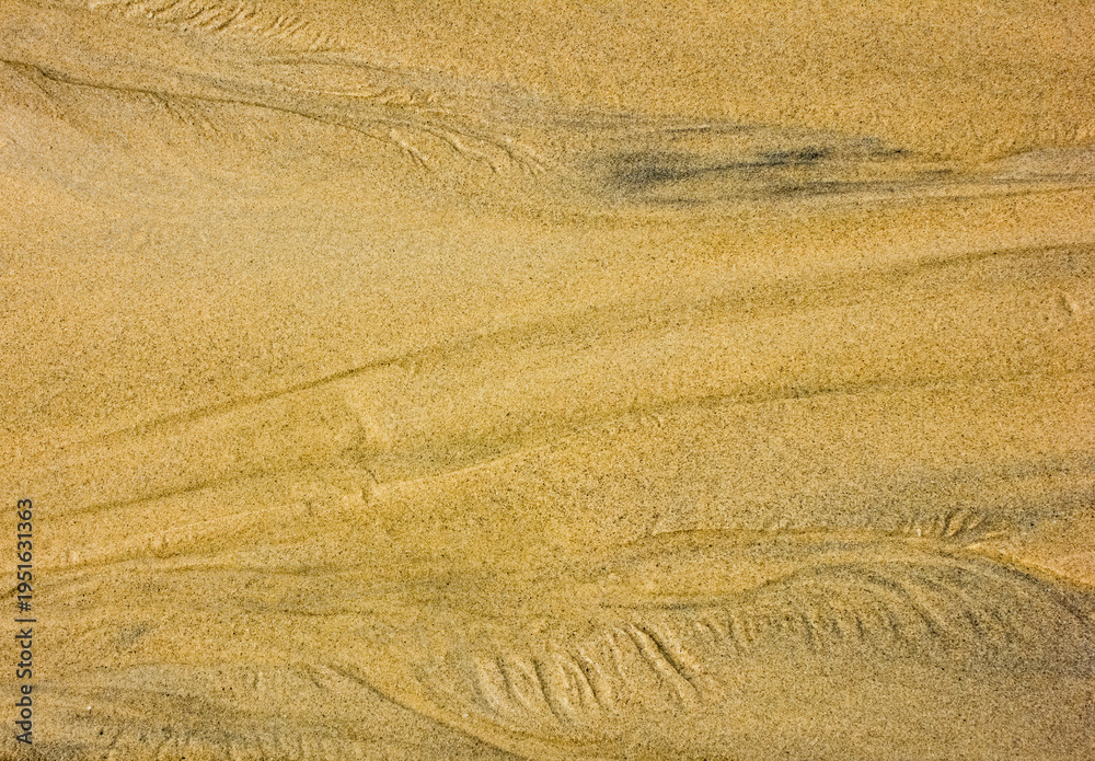 Fototapeta premium The sandy beach shows lines and patterns formed by water and wind. The sun shines down, and the waves softly touch the shore. Footprints are visible in the sand