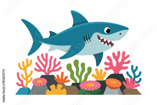 shark in the aquarium