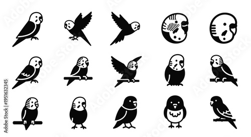 Set of various budgerigar icons, cute parakeet birds in different poses, black silhouette illustration