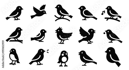 Set of bird silhouette icons including singing and flying poses in flat style