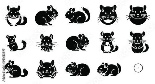 Set of chinchilla icon collection, simple cute cartoon doodle style for pet shop or animal related business