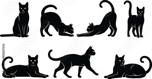 Photos Black cat silhouette collection featuring various feline poses including stretching walking sitting and lying down isolated on white background