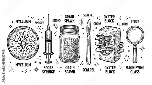 Mushroom Cultivation Tools and Lab Equipment Set. Vintage Line Art Illustration of Mycelium, Spore Syringe, Grain Spawn Jar, Scalpel, Oyster Block, and Magnifying Glass for Mycology Study.
